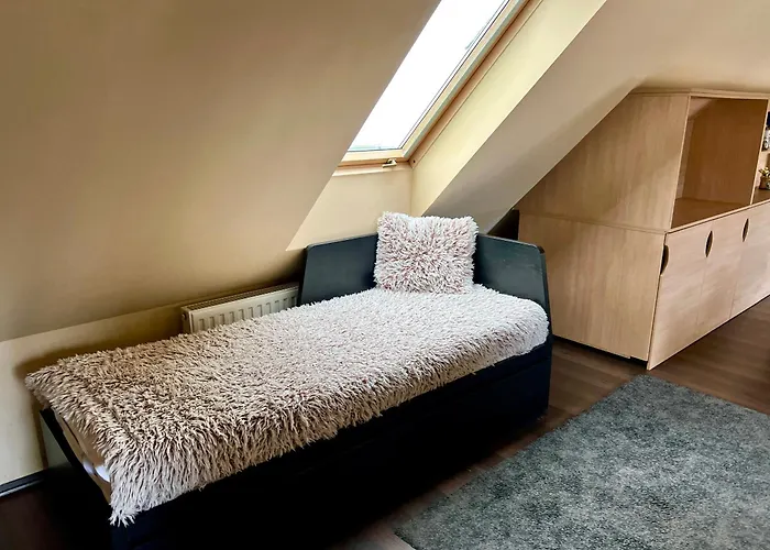 Robinson Szigete * 巴拉顿菲赖德